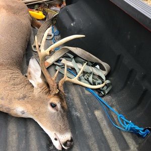 Meet your Posher, Justin